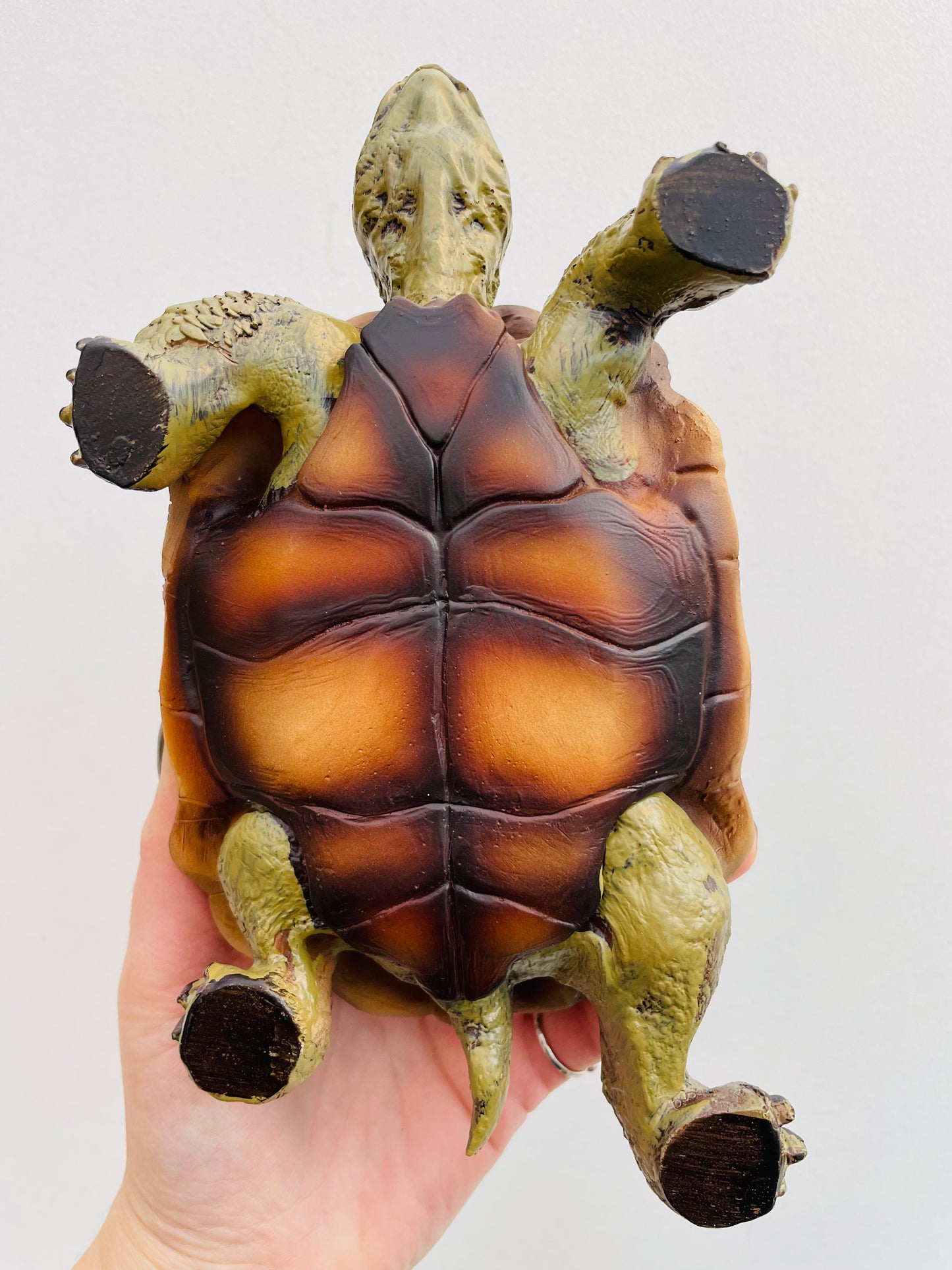 Bilde av Skilpadde M-Spanne Plantesalg