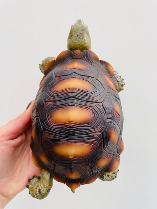 Bilde av Skilpadde M-Spanne Plantesalg