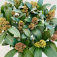 Bilde av Skimmia jap. Rubella-Spanne Plantesalg