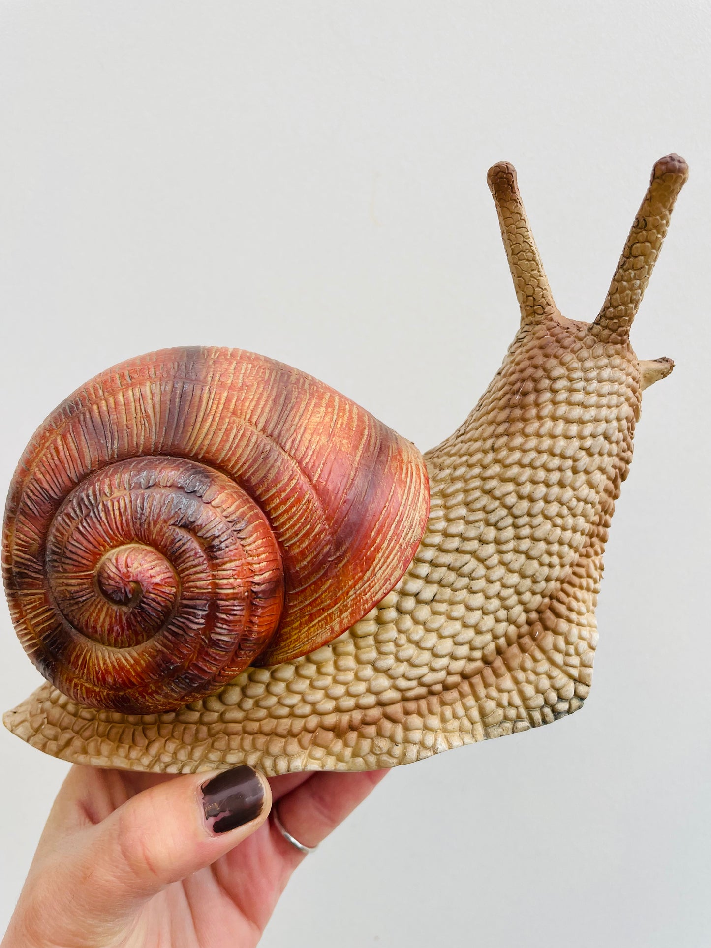 Bilde av Snegle M-Spanne Plantesalg