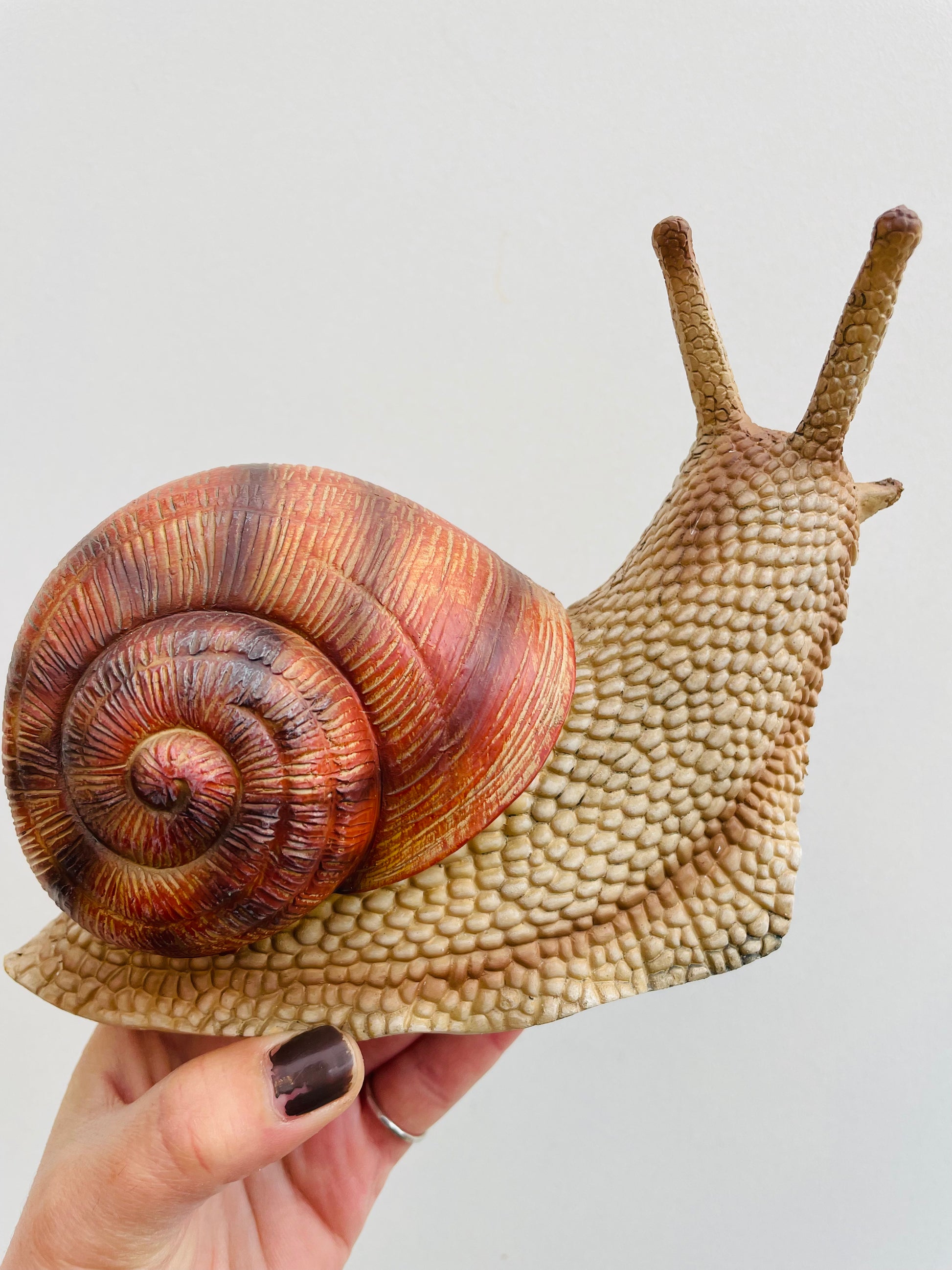 Bilde av Snegle M-Spanne Plantesalg