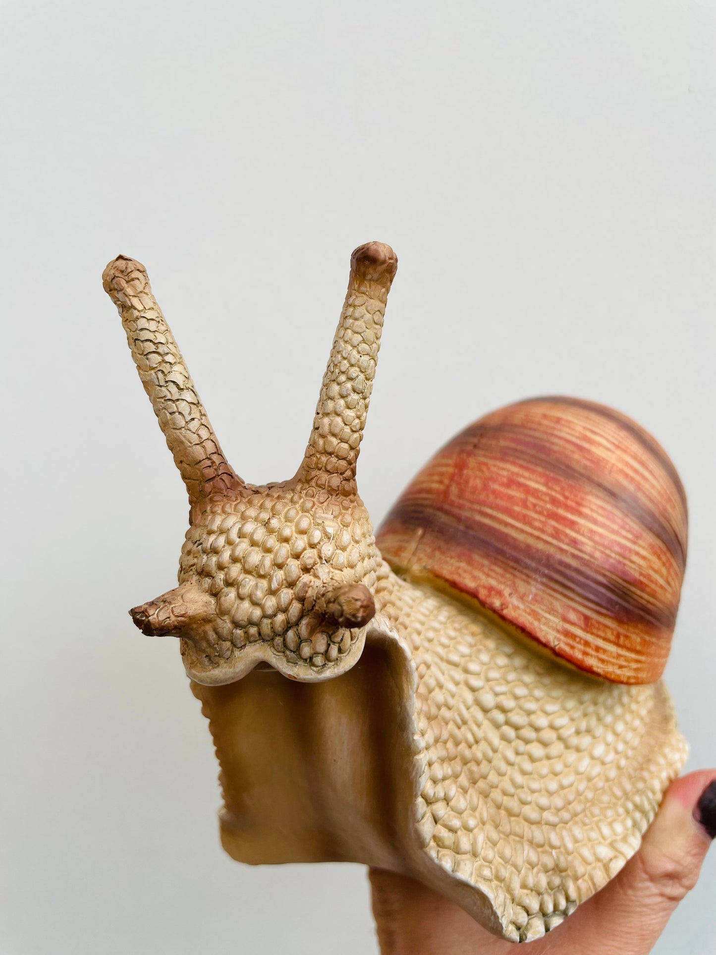 Bilde av Snegle M-Spanne Plantesalg