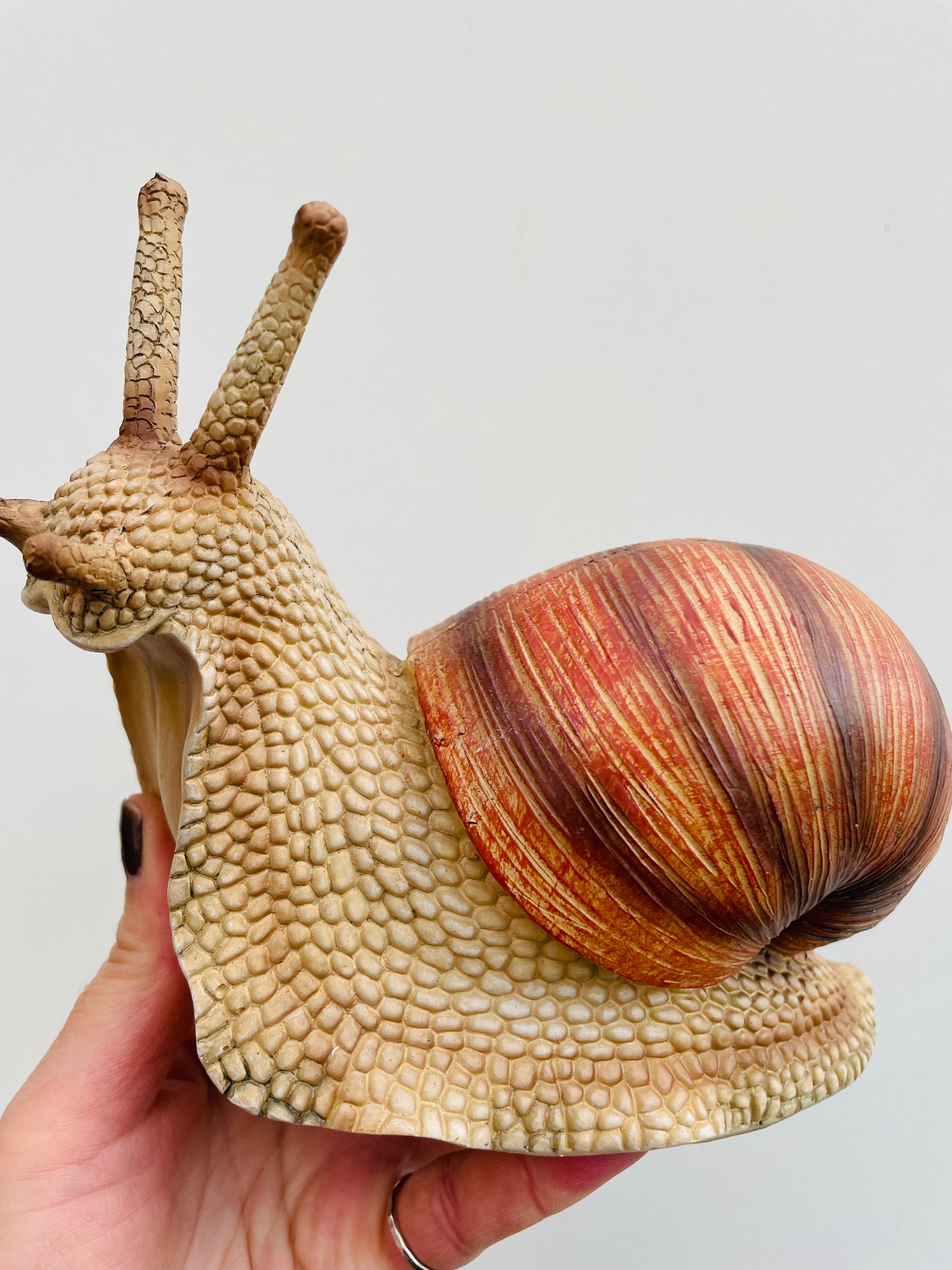 Bilde av Snegle M-Spanne Plantesalg