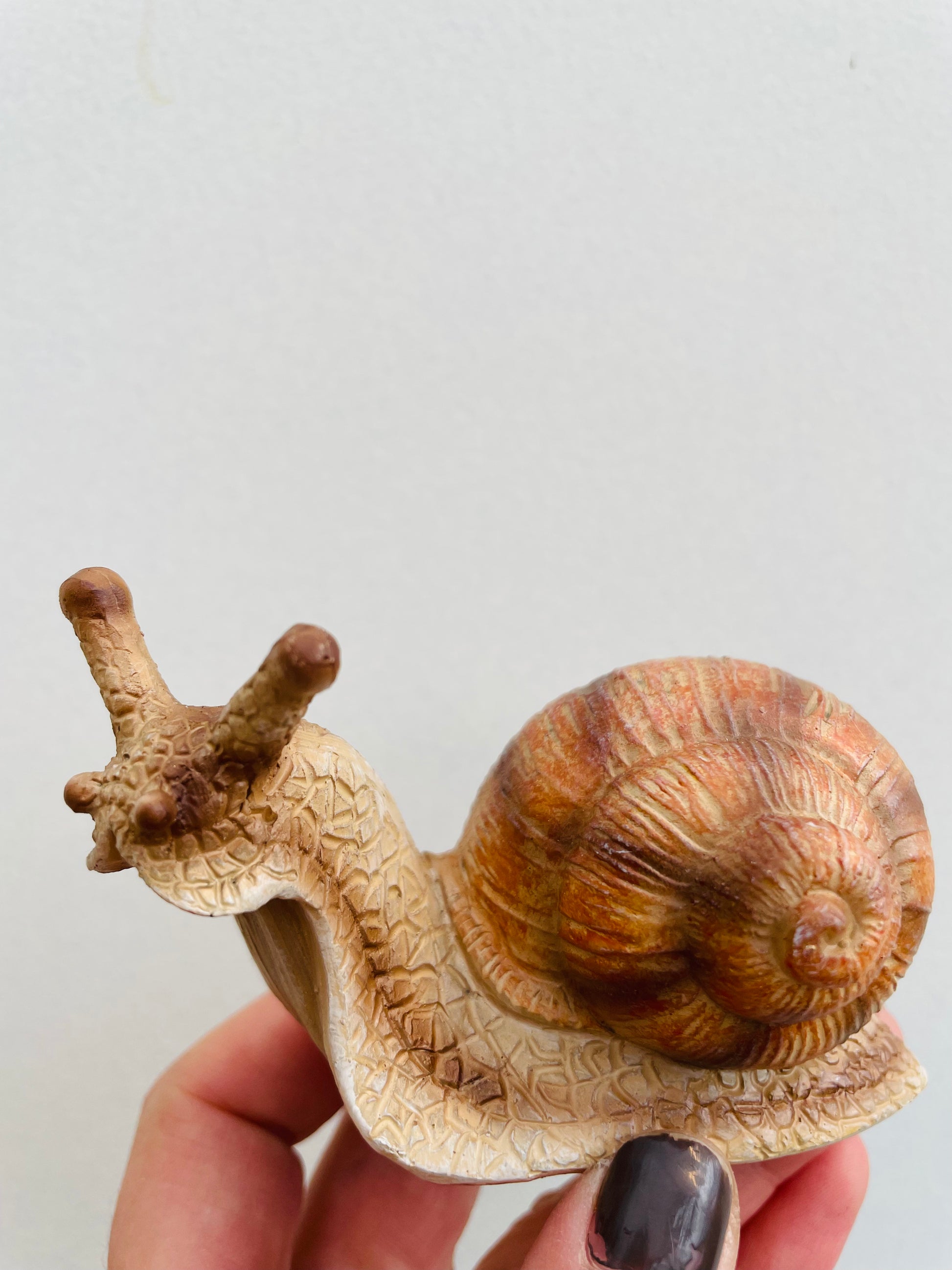 Bilde av Snegle S-Spanne Plantesalg