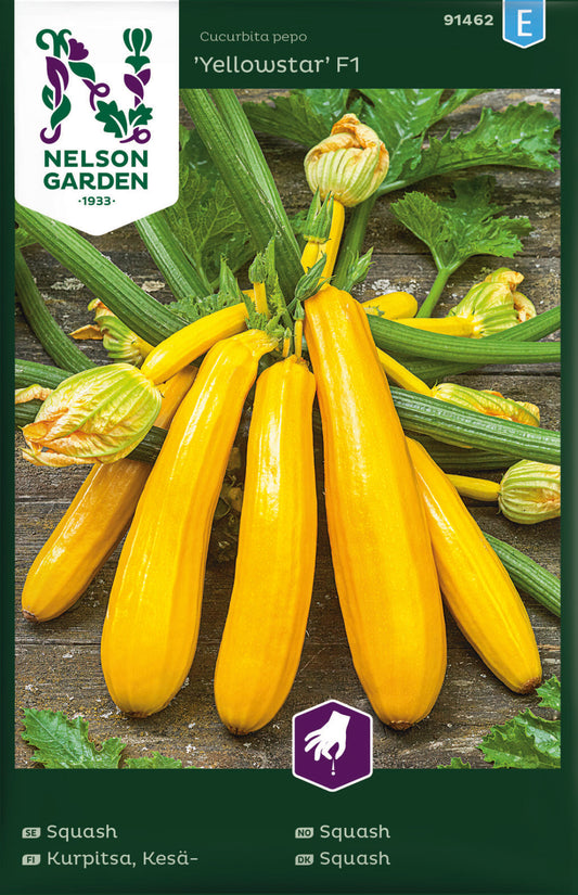 Bilde av Squash, Yellowstar F1-Spanne Plantesalg