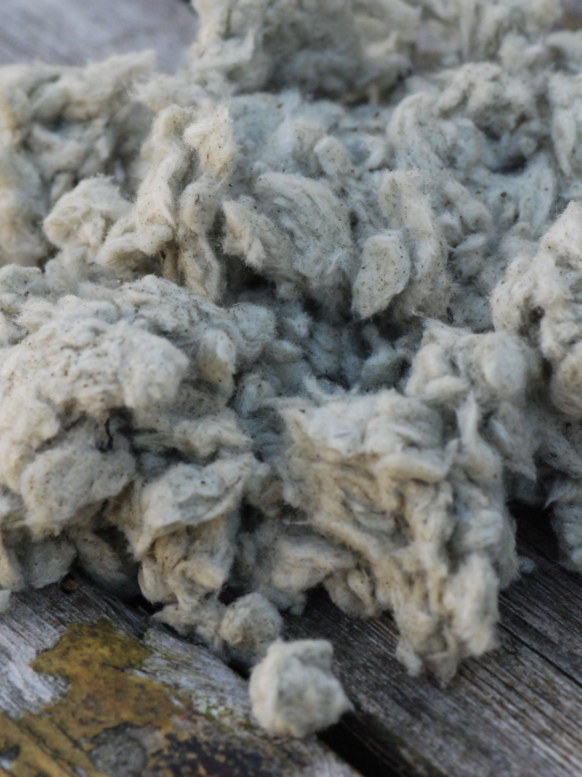 Bark Losvekt () Bark Losvekt