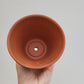 Bilde av Terracotta potte 10 cm i diameter-Spanne Plantesalg