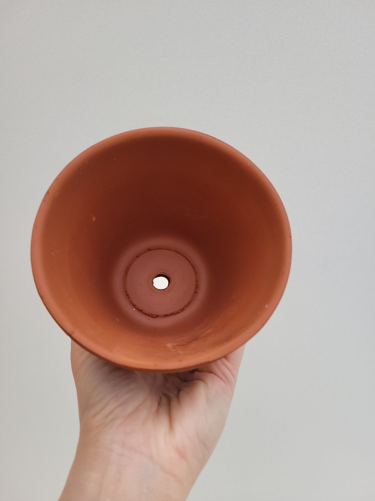 Bilde av Terracotta potte 10 cm i diameter-Spanne Plantesalg