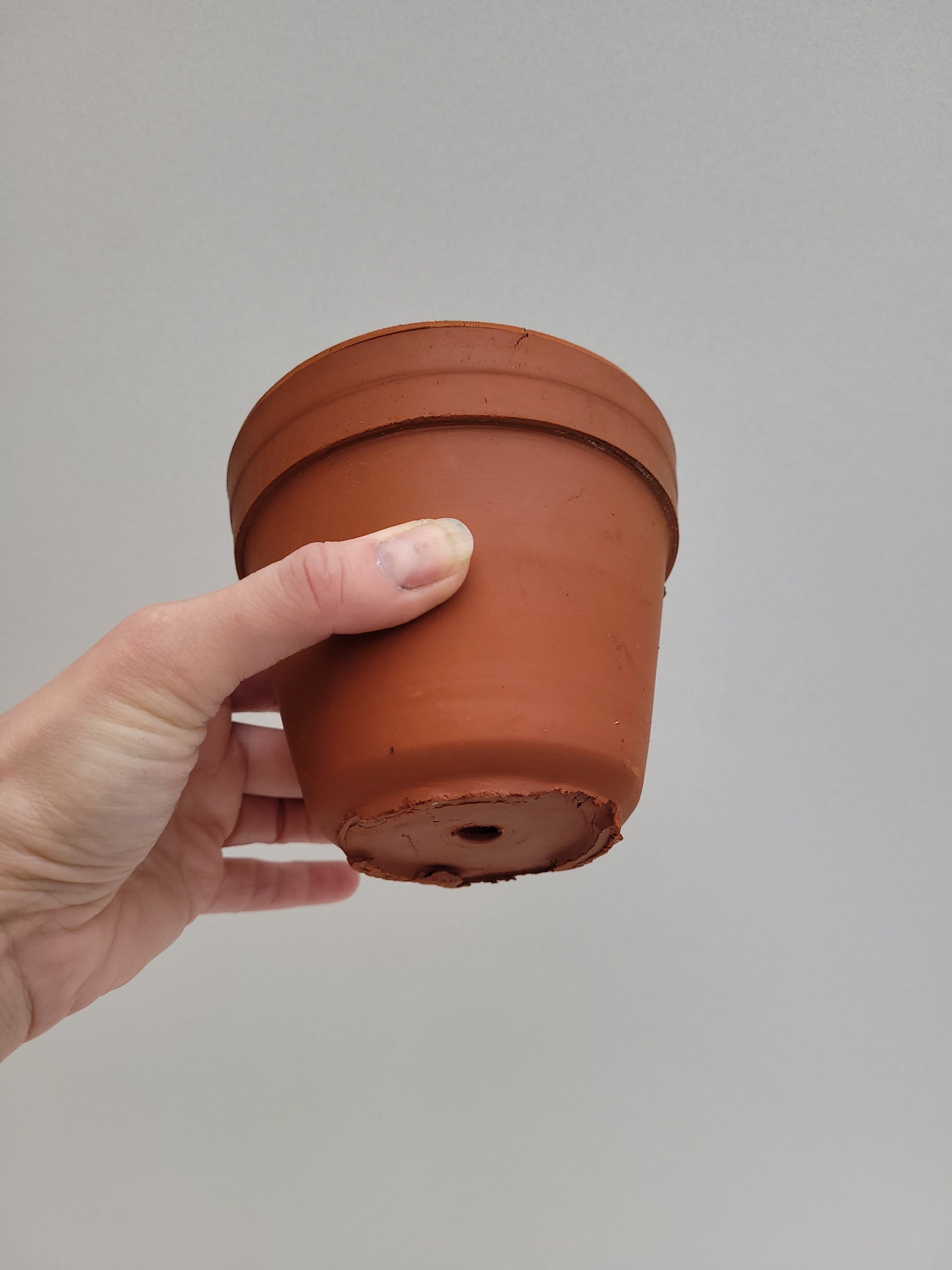 Bilde av Terracotta potte 10 cm i diameter-Spanne Plantesalg