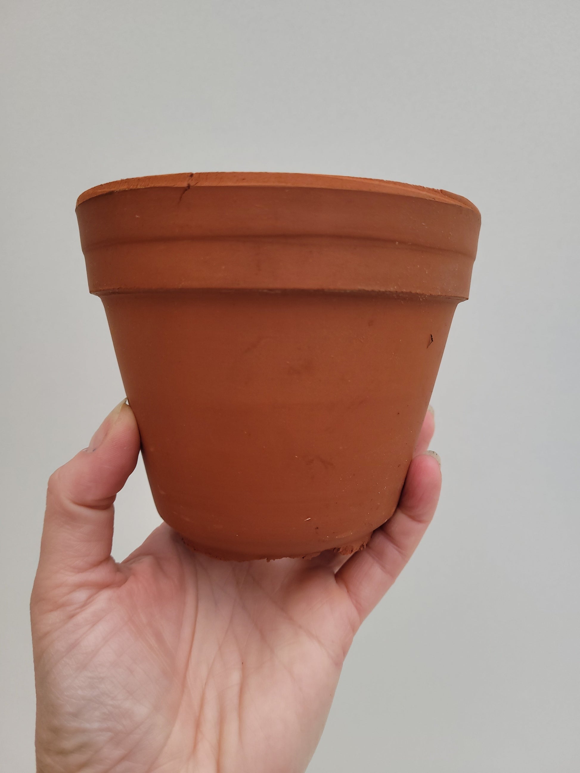 Bilde av Terracotta potte 10 cm i diameter-Spanne Plantesalg