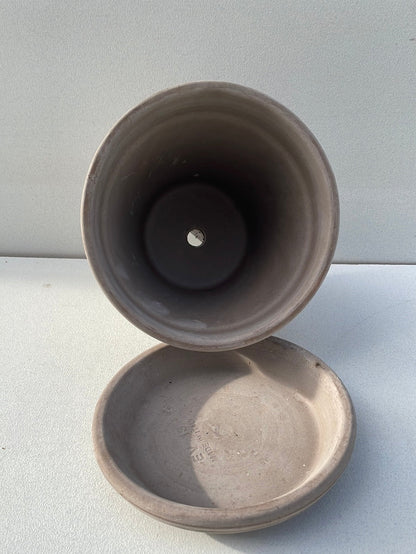 Bilde av Terracotta potte med fat 13 cm-Spanne Plantesalg