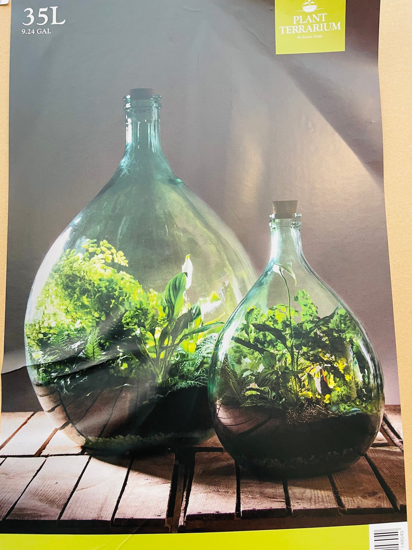 Bilde av Terrarium glass 35 L-Spanne Plantesalg