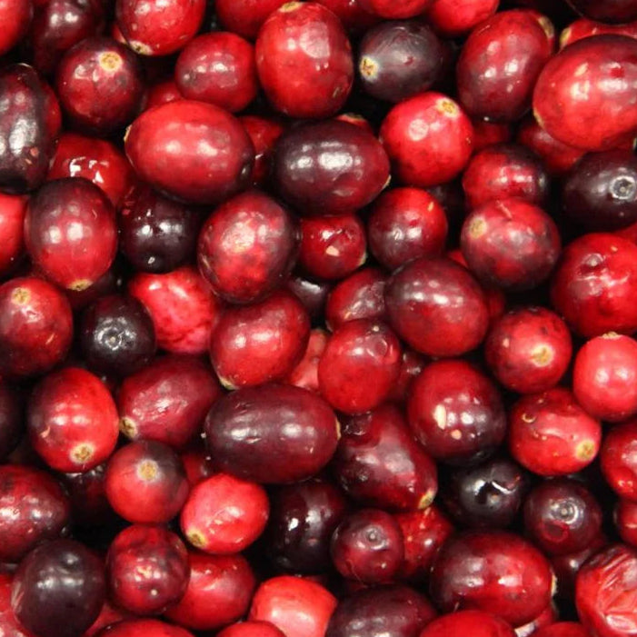 Bilde av Tyttebær Vaccinium macr. 'Pilgrim'-Spanne Plantesalg