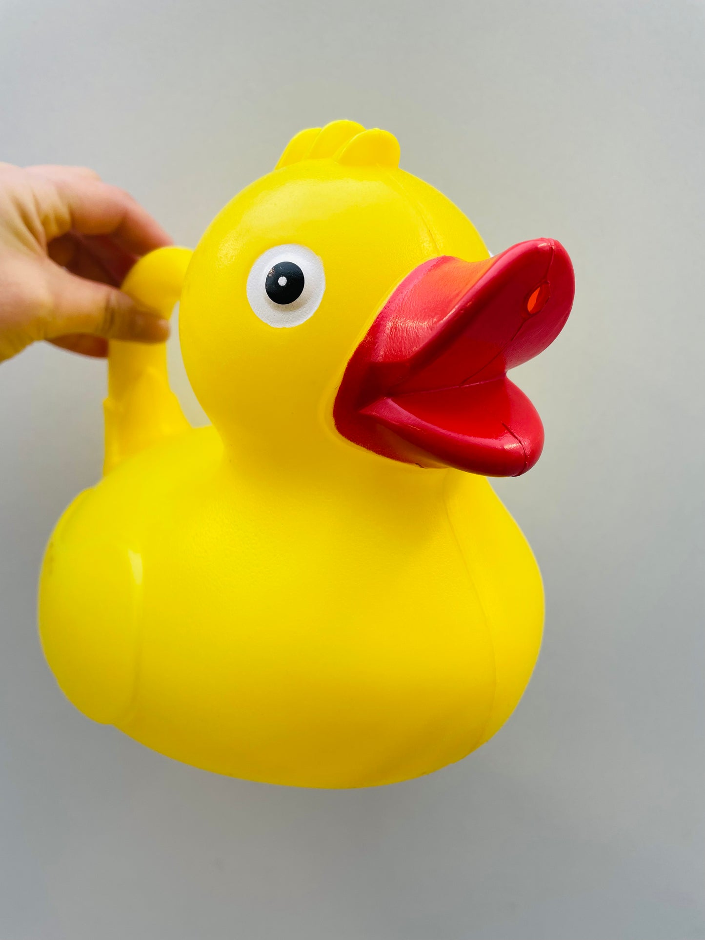 Bilde av VANNKANNE DUCK-Spanne Plantesalg