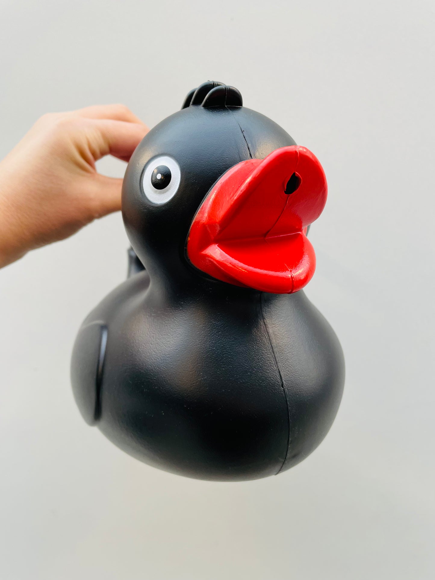 Bilde av VANNKANNE DUCK-Spanne Plantesalg