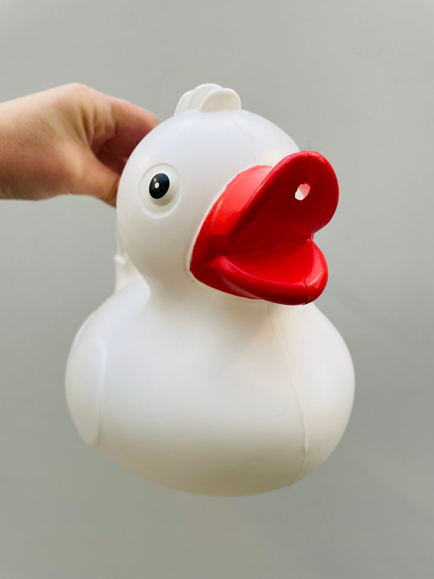 Bilde av VANNKANNE DUCK-Spanne Plantesalg