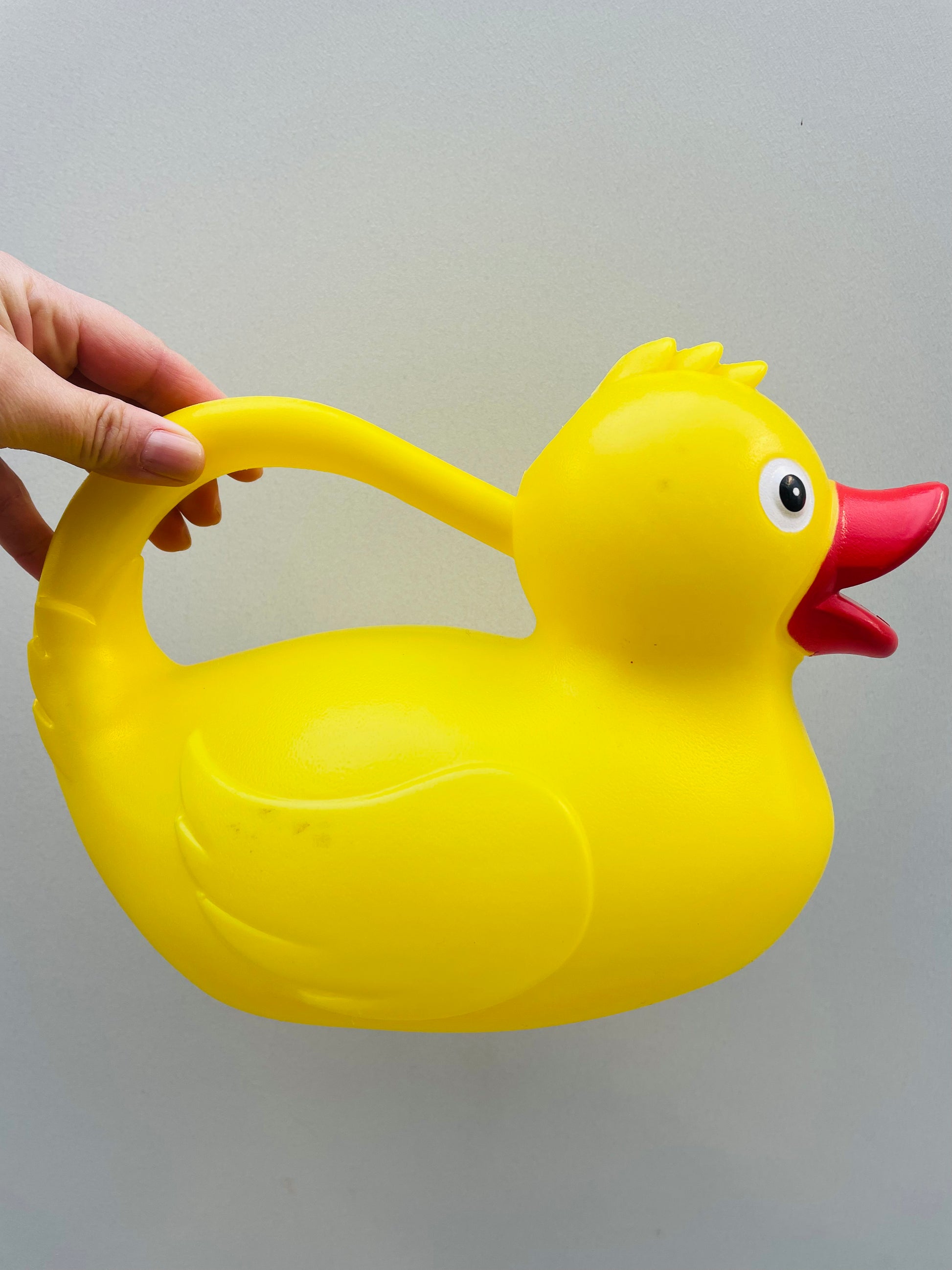 Bilde av VANNKANNE DUCK-Spanne Plantesalg