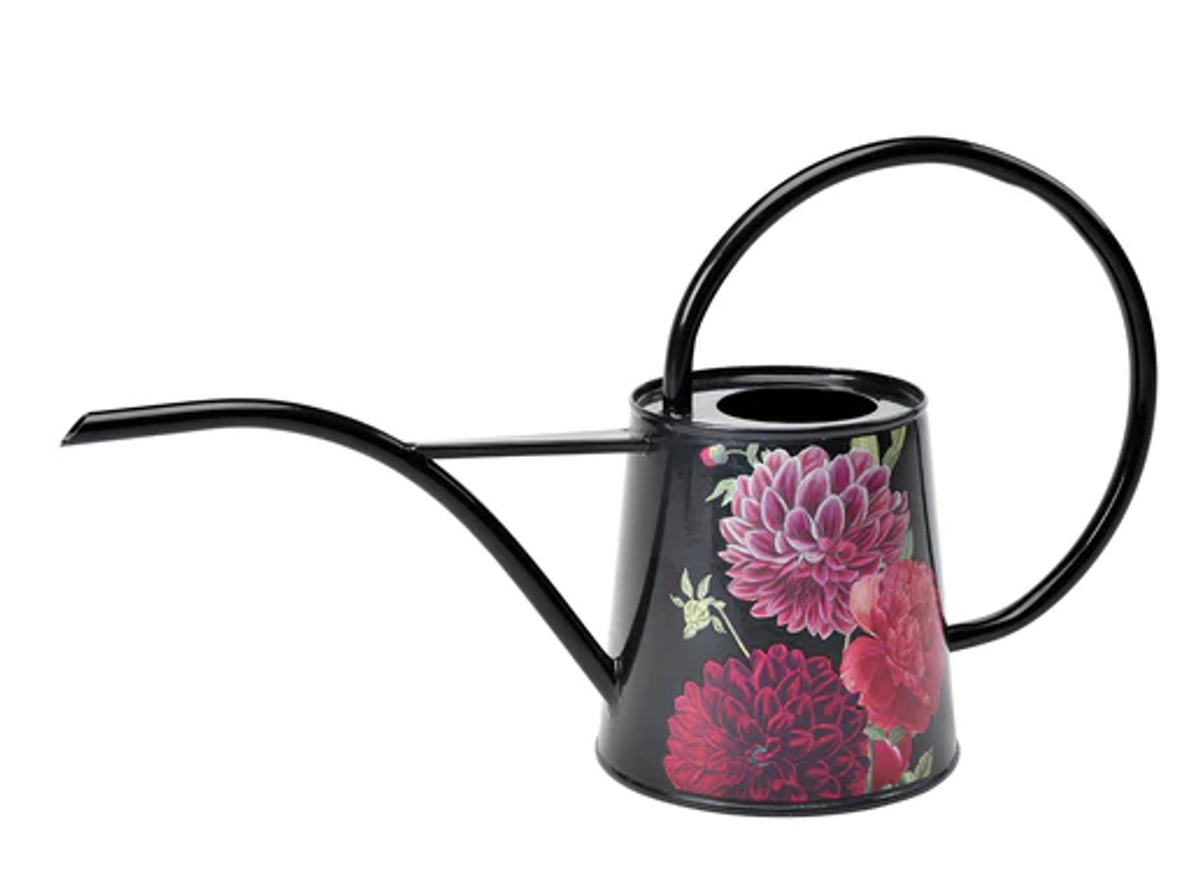 Bilde av Vannkanne `Georgine`-Spanne Plantesalg