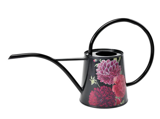 Bilde av Vannkanne `Georgine`-Spanne Plantesalg