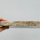 Bilde av Sphagnum mose, komprimert. 150 g-Spanne Plantesalg