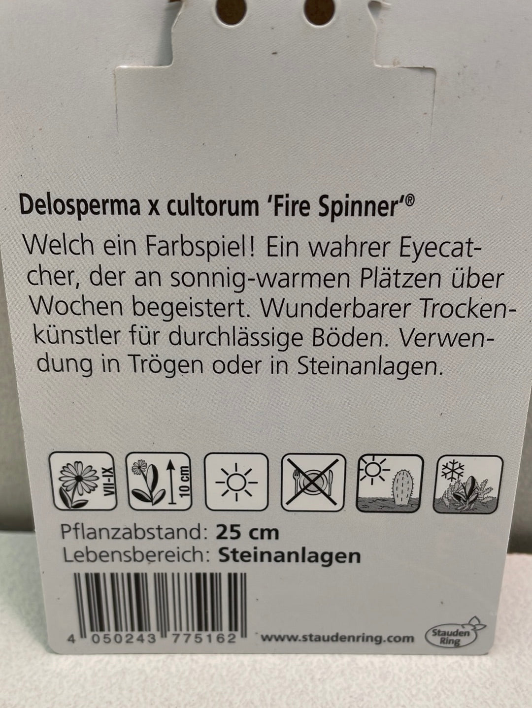Bilde av Delosperma x cultorum fire spinner-Spanne Plantesalg